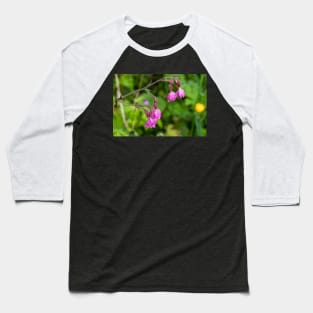 English Red Campion and raindrops Baseball T-Shirt